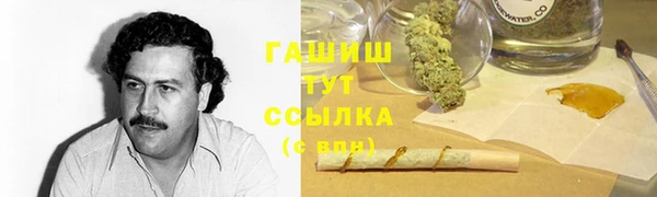 гидра Алексеевка