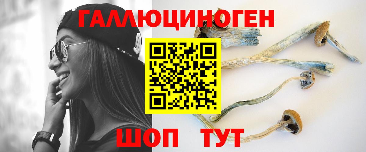Клин  Псилоцибиновые грибы Cubensis  Вход с VPN 